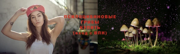 a pvp Богданович