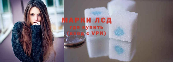 мдпв Богородск
