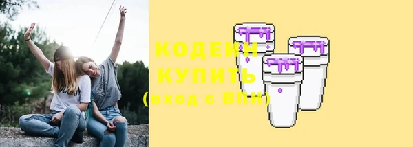 мдпв Богородск