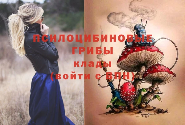 PSILOCYBIN Белокуриха