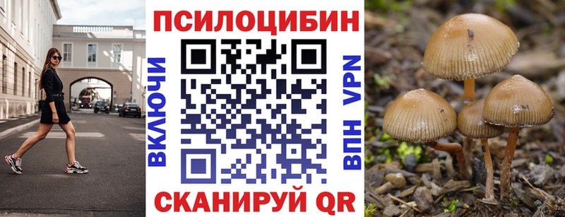 Псилоцибиновые грибы Magic Shrooms  Дагестанские Огни 