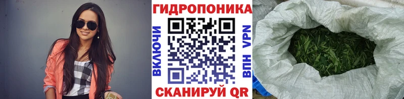 Конопля AK-47  закладка  Дагестанские Огни 